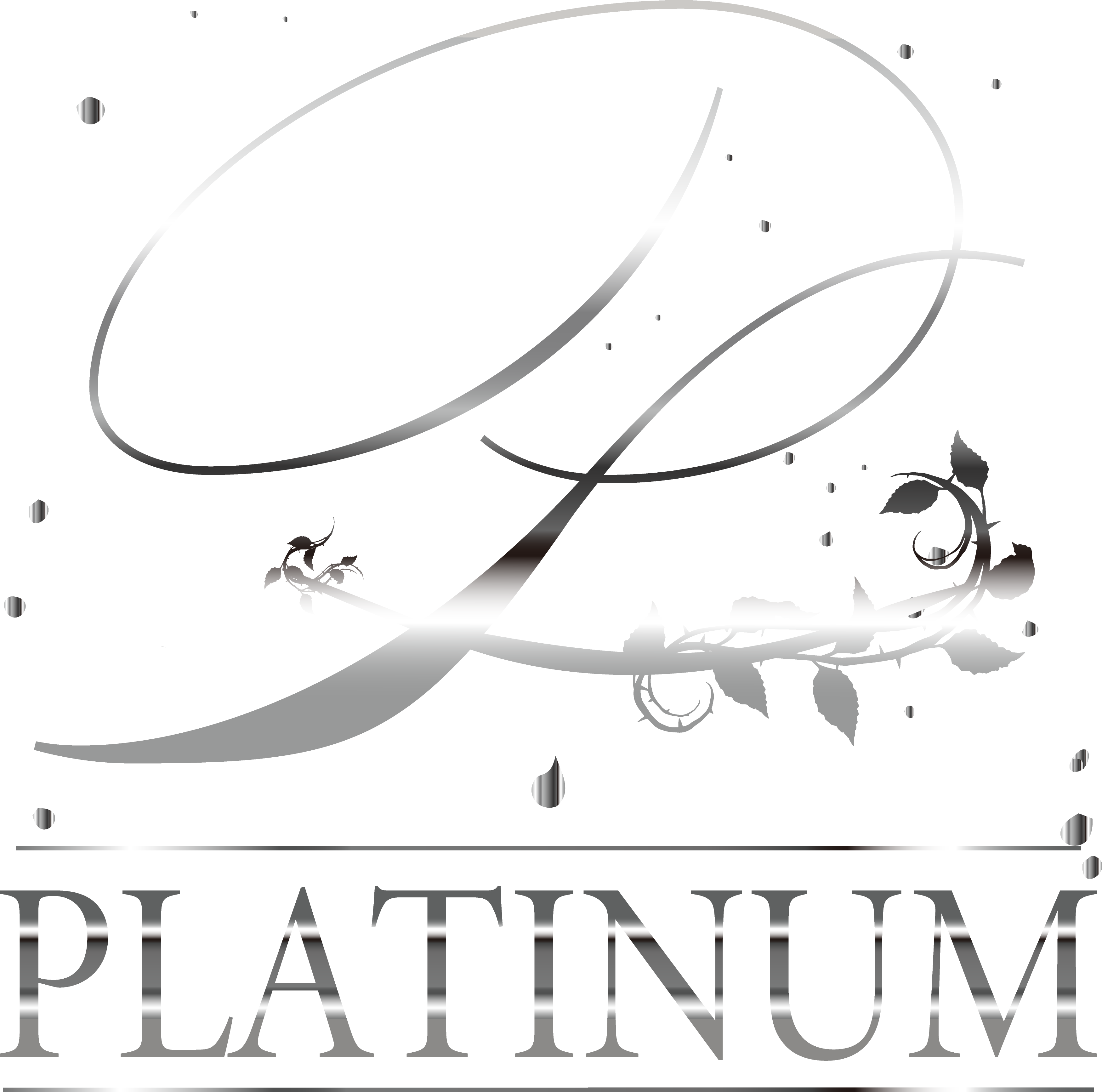 platinumロゴ