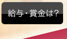 給与・賞金は？